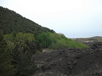 Serra_Pizzuta - 20052012 230.jpg